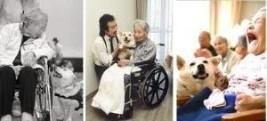 セラピードッグの活動イメージ