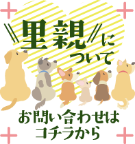里親についてのお問合せはコチラから