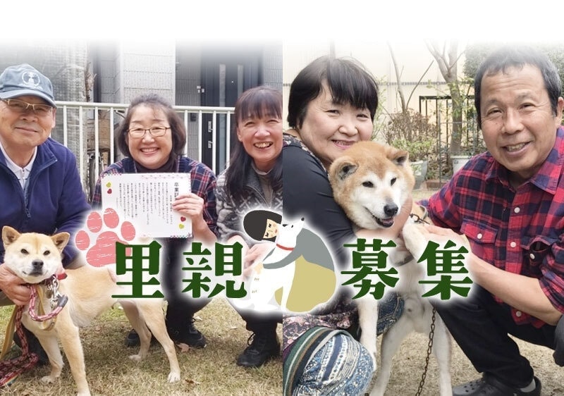 里親募集